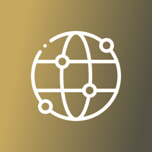 Executive Level Partnership